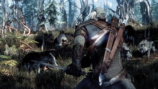 The Witcher 3: Wild Hunt - Первые игровые скриншоты The Witcher 3: Wild Hunt 